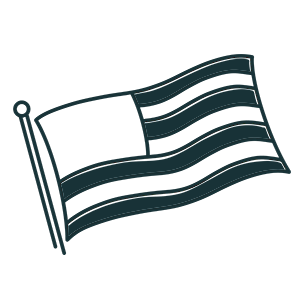 USA flag icon