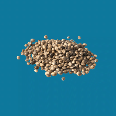 Cannabis Sativa Seed Oil